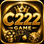 C222 Game
