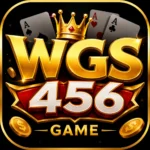 WGS456 Game