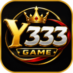 Y333 Game