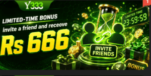 Y333 Game