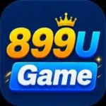 889U Game